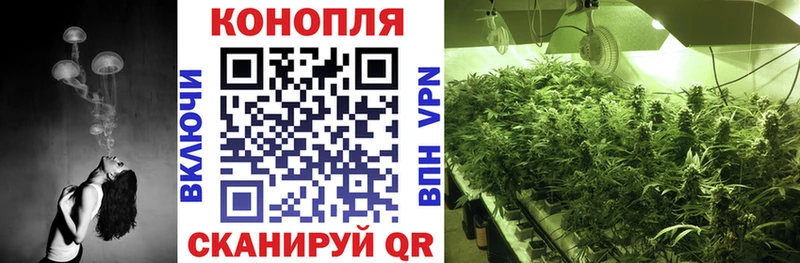 Купить наркотики цена Новая Усмань Codein  Псилоцибиновые грибы  Меф мяу мяу  ГАШИШ 