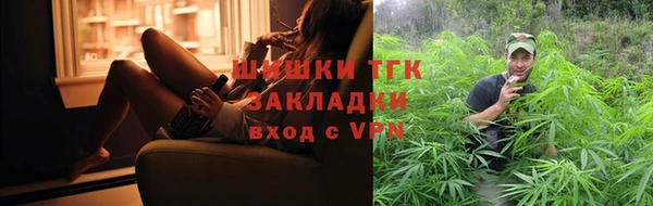прущие грибы Ладушкин