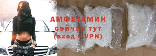 прущие грибы Ладушкин