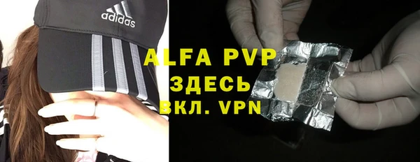 прущие грибы Ладушкин