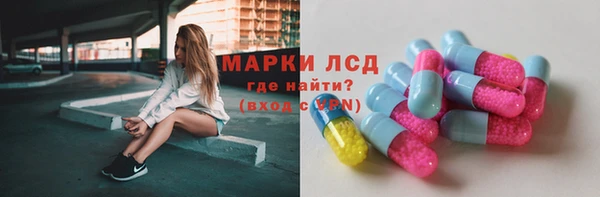 прущие грибы Ладушкин