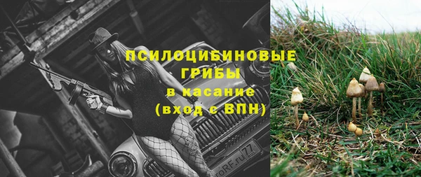 мяу мяу кристалл Лабытнанги