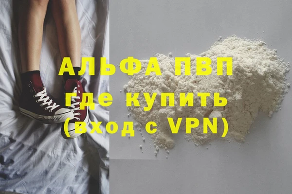 прущие грибы Ладушкин
