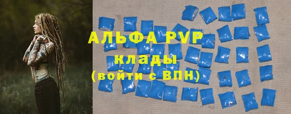 прущие грибы Ладушкин